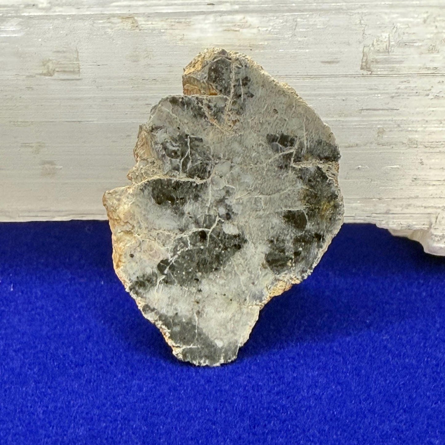 NWA 15373 Moon/Lunar Meteorite Slice, Feldspathic Breccia, Moon Meteorite, Meteorite Collection, Lunar Feldspathic Breccia, 3.61 grams