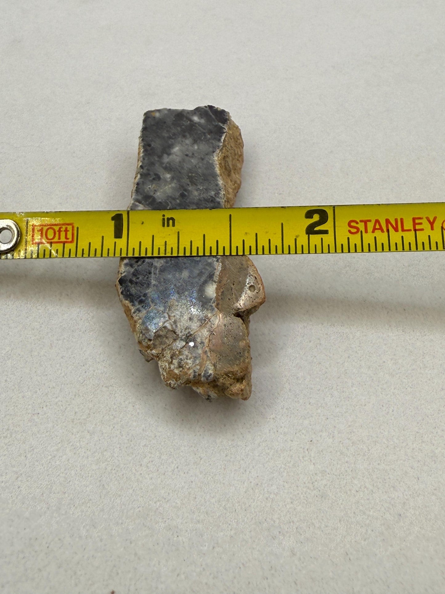 NWA 15373 Moon/Lunar Meteorite Slice, Feldspathic Breccia, Moon Meteorite, Meteorite Collection, Lunar Feldspathic Breccia, 8.17 grams