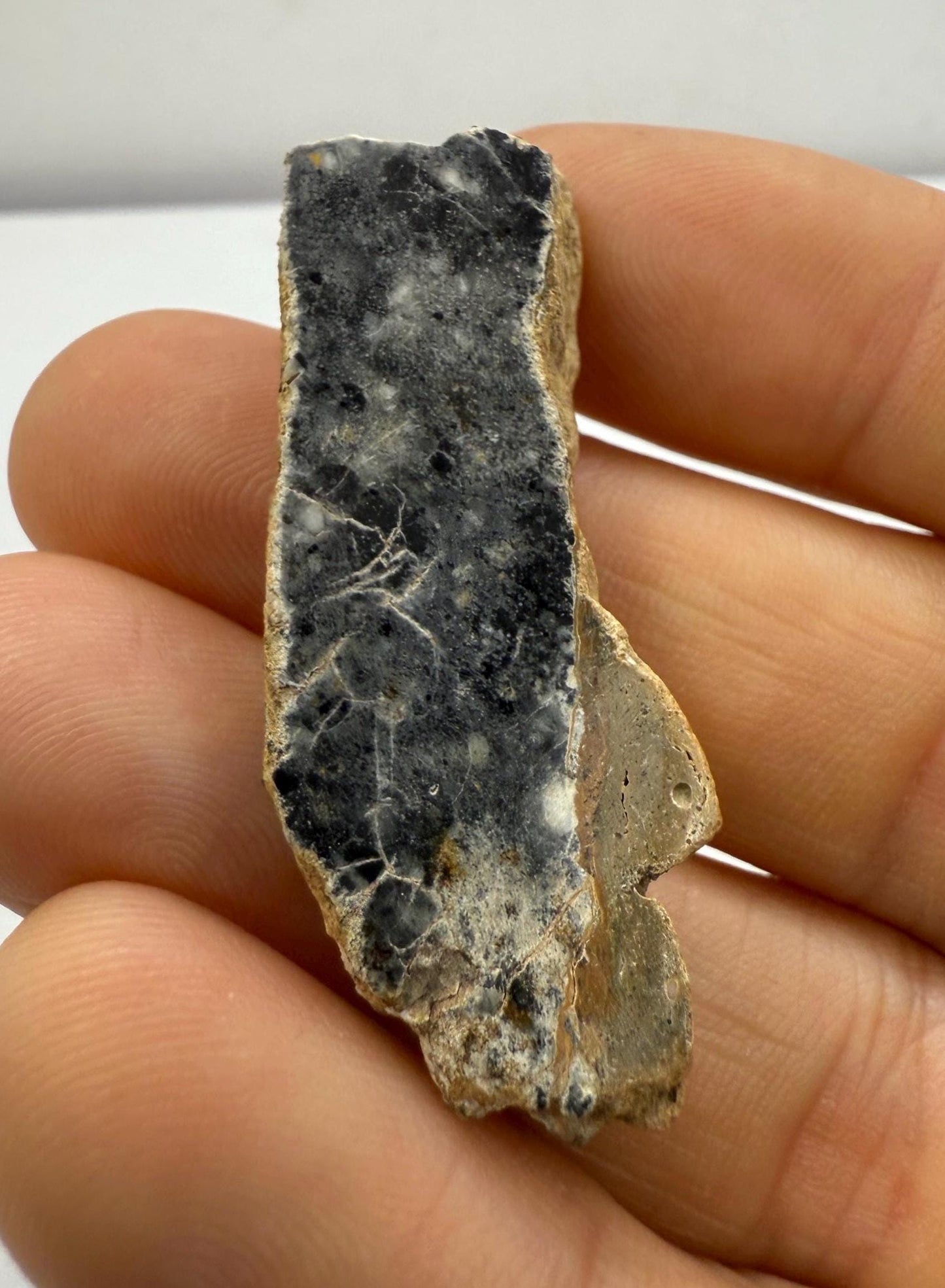 NWA 15373 Moon/Lunar Meteorite Slice, Feldspathic Breccia, Moon Meteorite, Meteorite Collection, Lunar Feldspathic Breccia, 8.17 grams