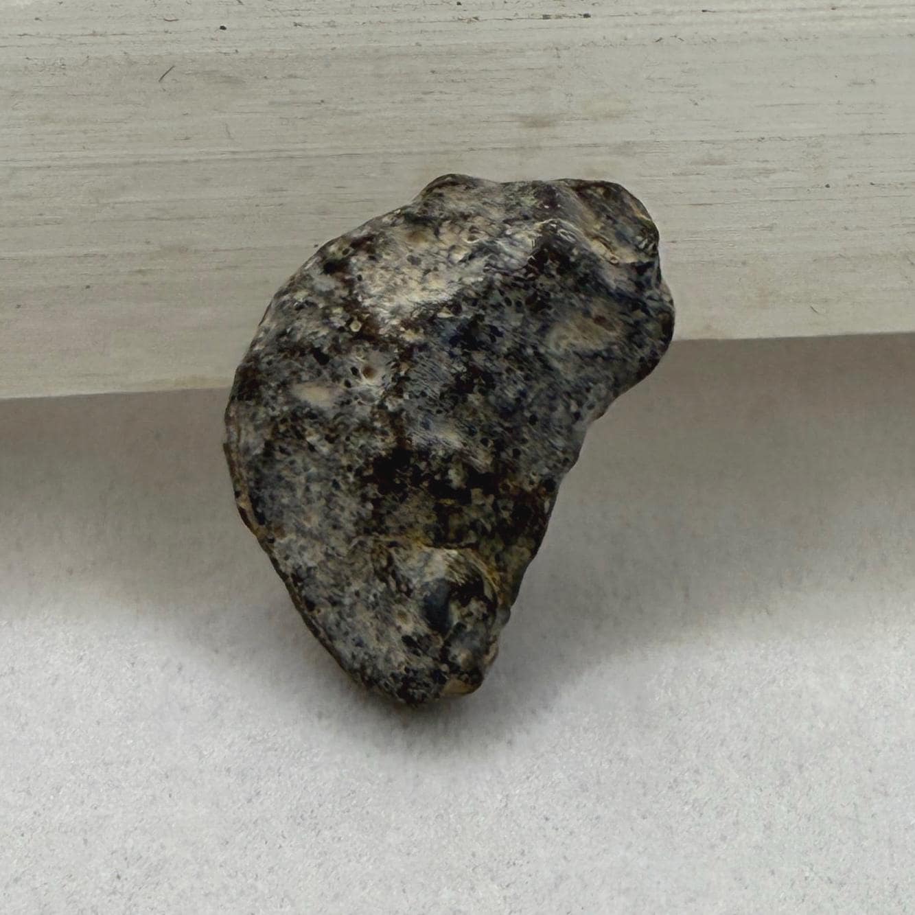 NWA 13974 Moon|Lunar Meteorite, Feldspathic Breccia, Moon Meteorite, Meteorite Collection, Lunar Feldspathic Breccia, 1.12 grams