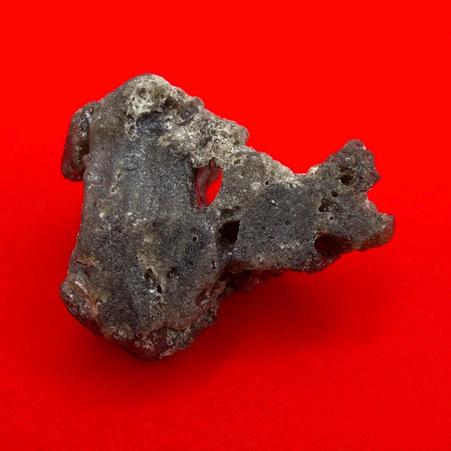 Darwin Glass Tektite: Tasmanian Impactite Talisman, 5.55 grams