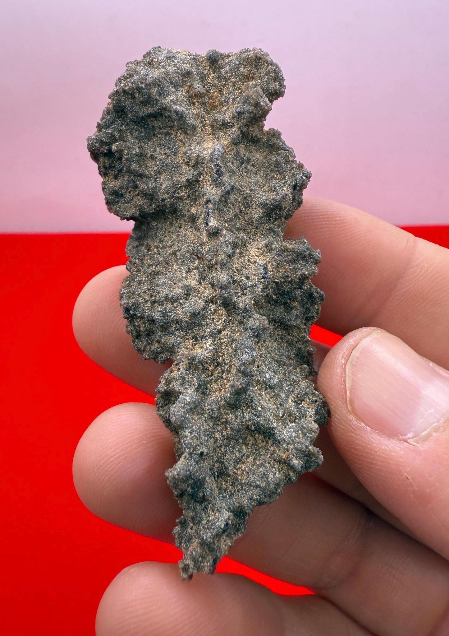 Sahara Desert Fulgurite: Fossilized Lightning Rock, Energy Work, 5.50 grams