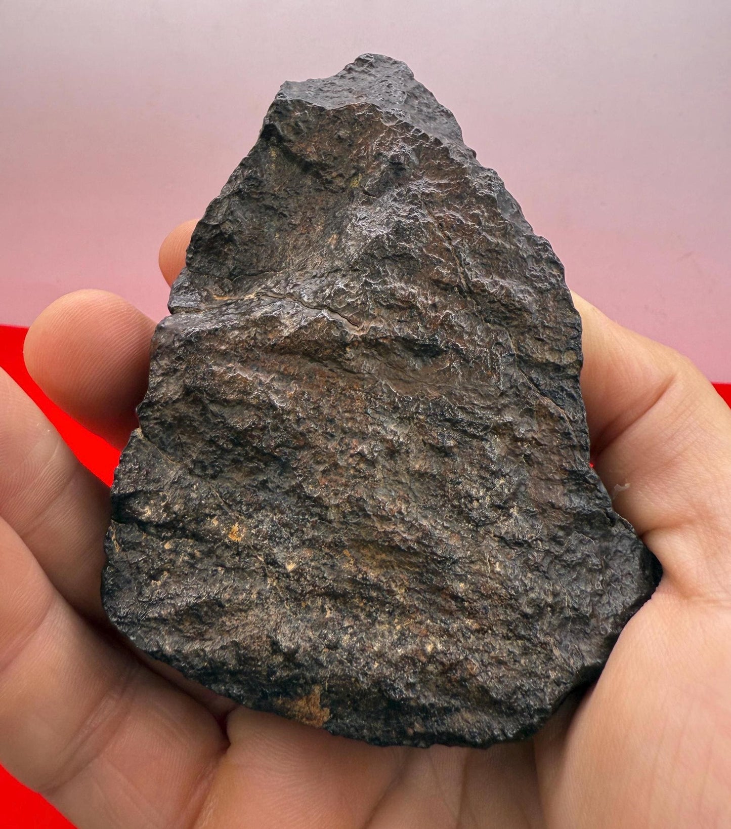 NWA 869 Meteorite 343.29g | Large Oriented Chondrite with Fusion Crust | COA