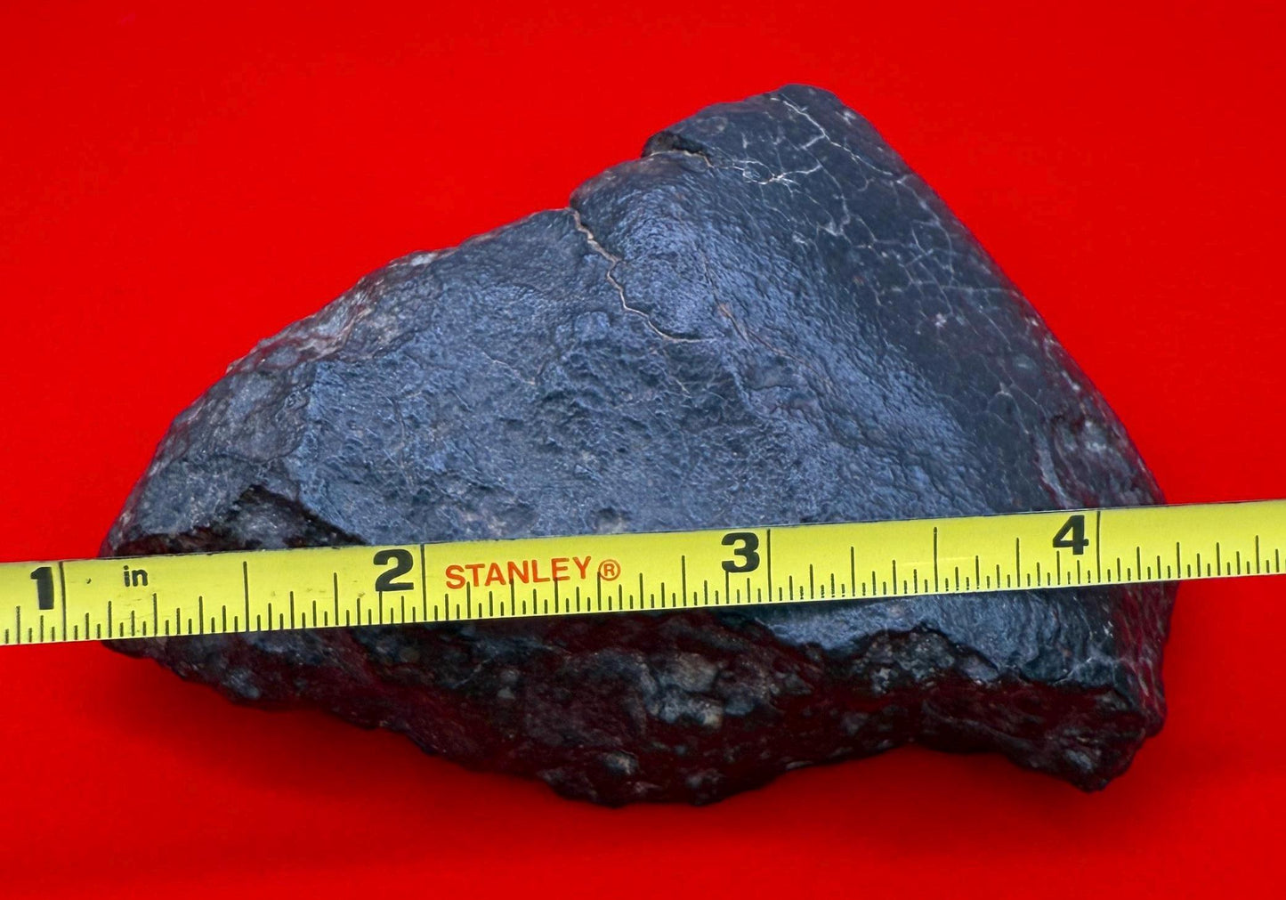 NWA 869 Meteorite 343.29g | Large Oriented Chondrite with Fusion Crust | COA