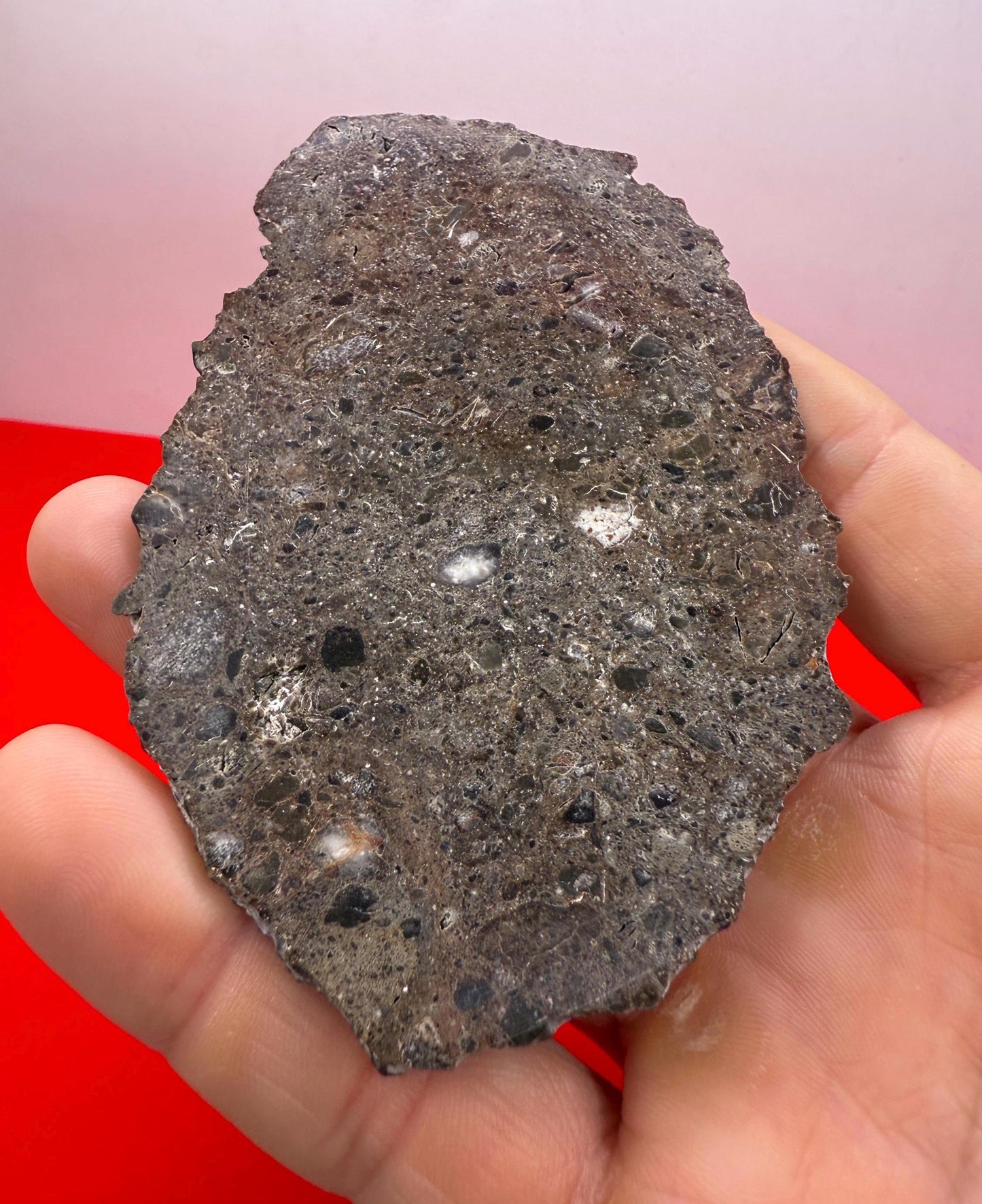 Rare Oued El Hameen 001 Lunar Meteorite Slice – 31.40g Aqueously Altered Moon Rock