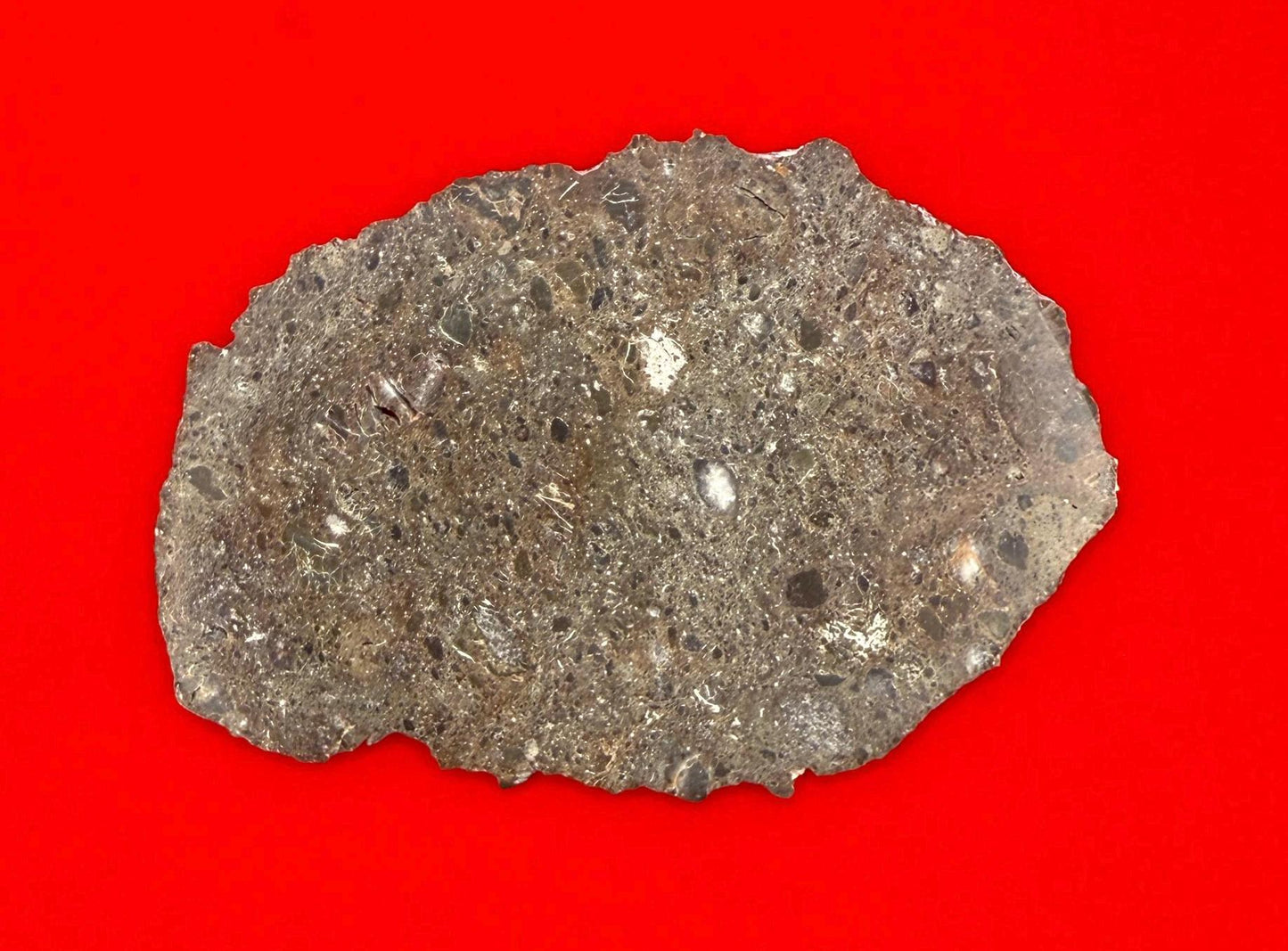 Rare Oued El Hameen 001 Lunar Meteorite Slice – 31.40g Aqueously Altered Moon Rock