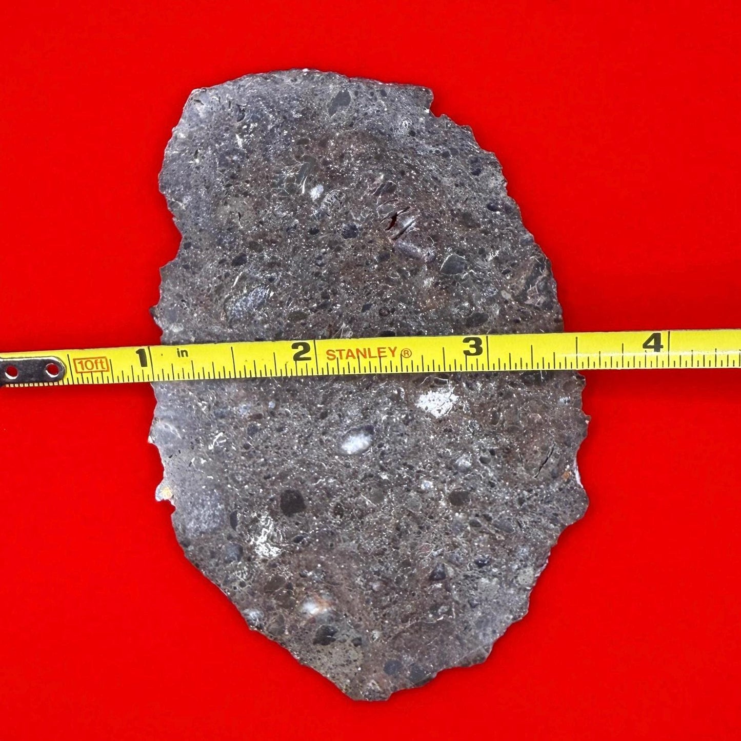 Rare Oued El Hameen 001 Lunar Meteorite Slice – 31.40g Aqueously Altered Moon Rock