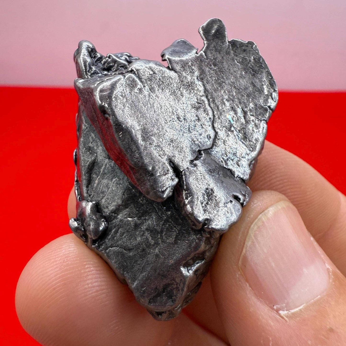 Aletai Iron-Nickel Meteorite Specimen: Astronomy Gift, COA, 45.84 grams