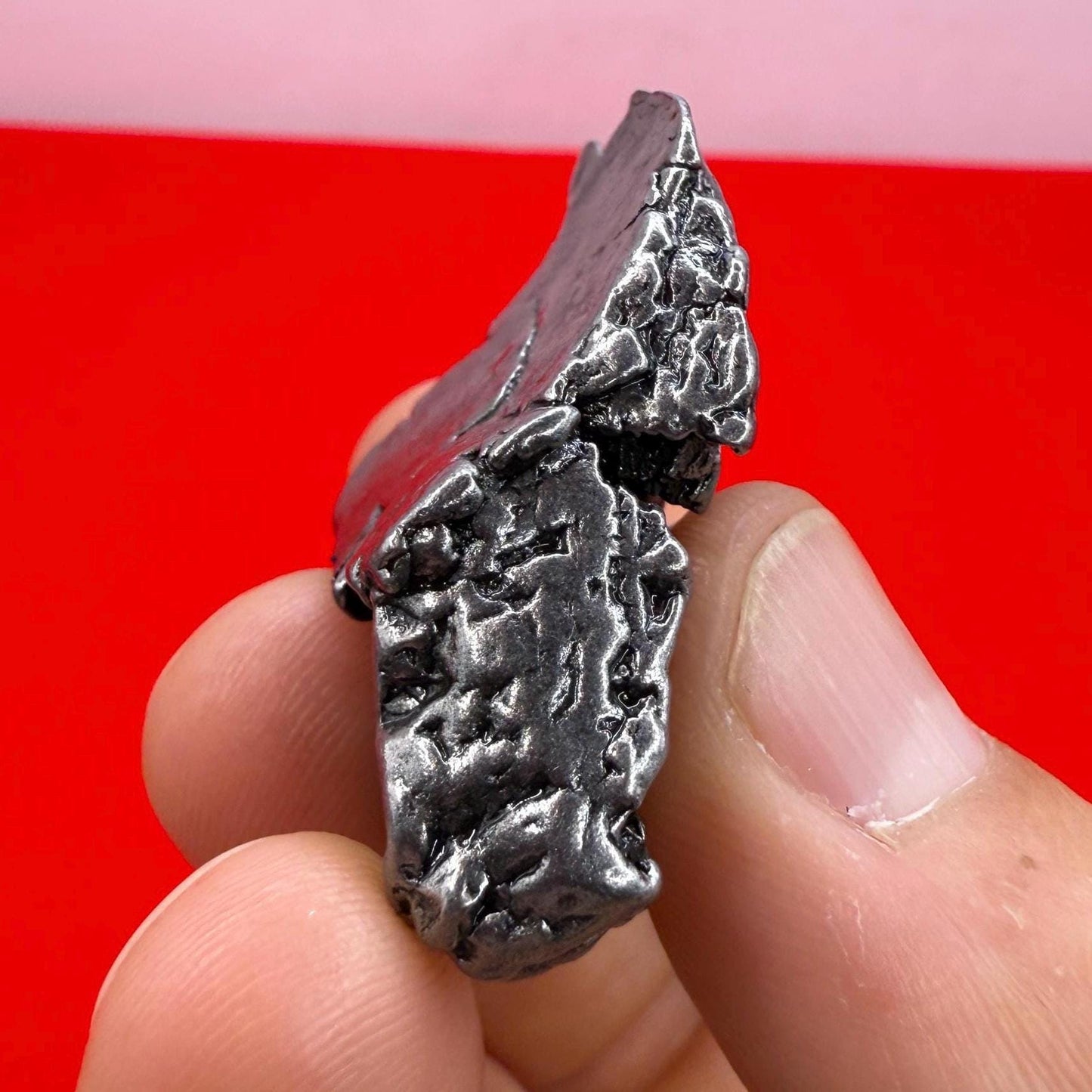 Aletai Iron-Nickel Meteorite Specimen: Astronomy Gift, COA, 45.84 grams