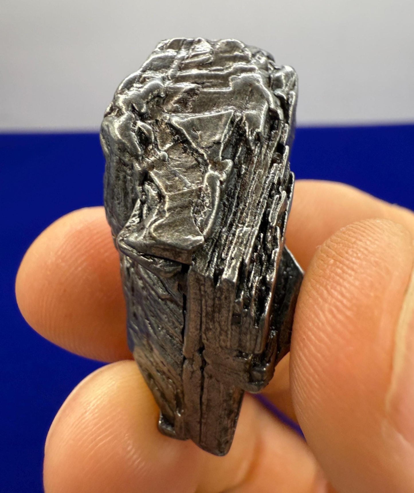 Aletai Iron-Nickel Meteorite Specimen: Astronomy Gift, COA, 33.93 grams