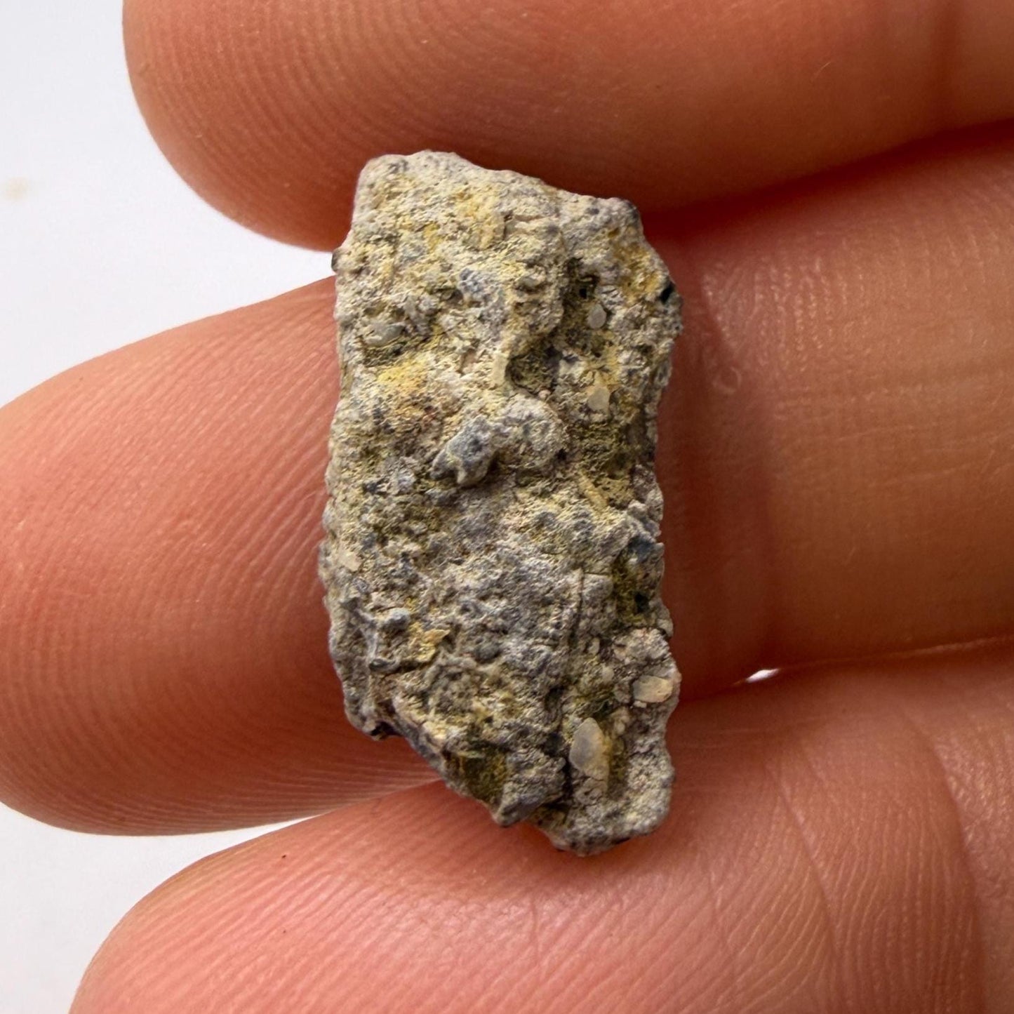 Polished NWA 15373 Lunar Meteorite Slice: 1.37 gram Feldspathic Breccia
