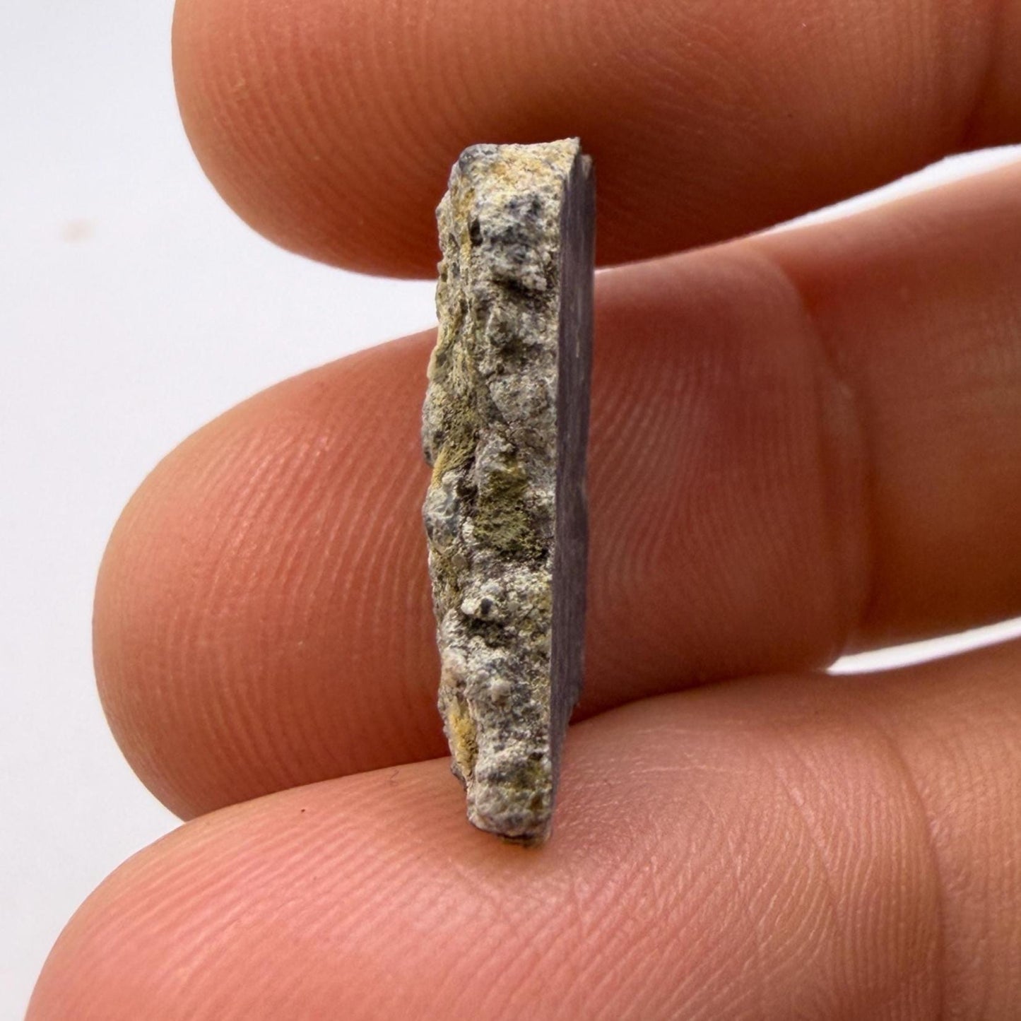 Polished NWA 15373 Lunar Meteorite Slice: 1.37 gram Feldspathic Breccia