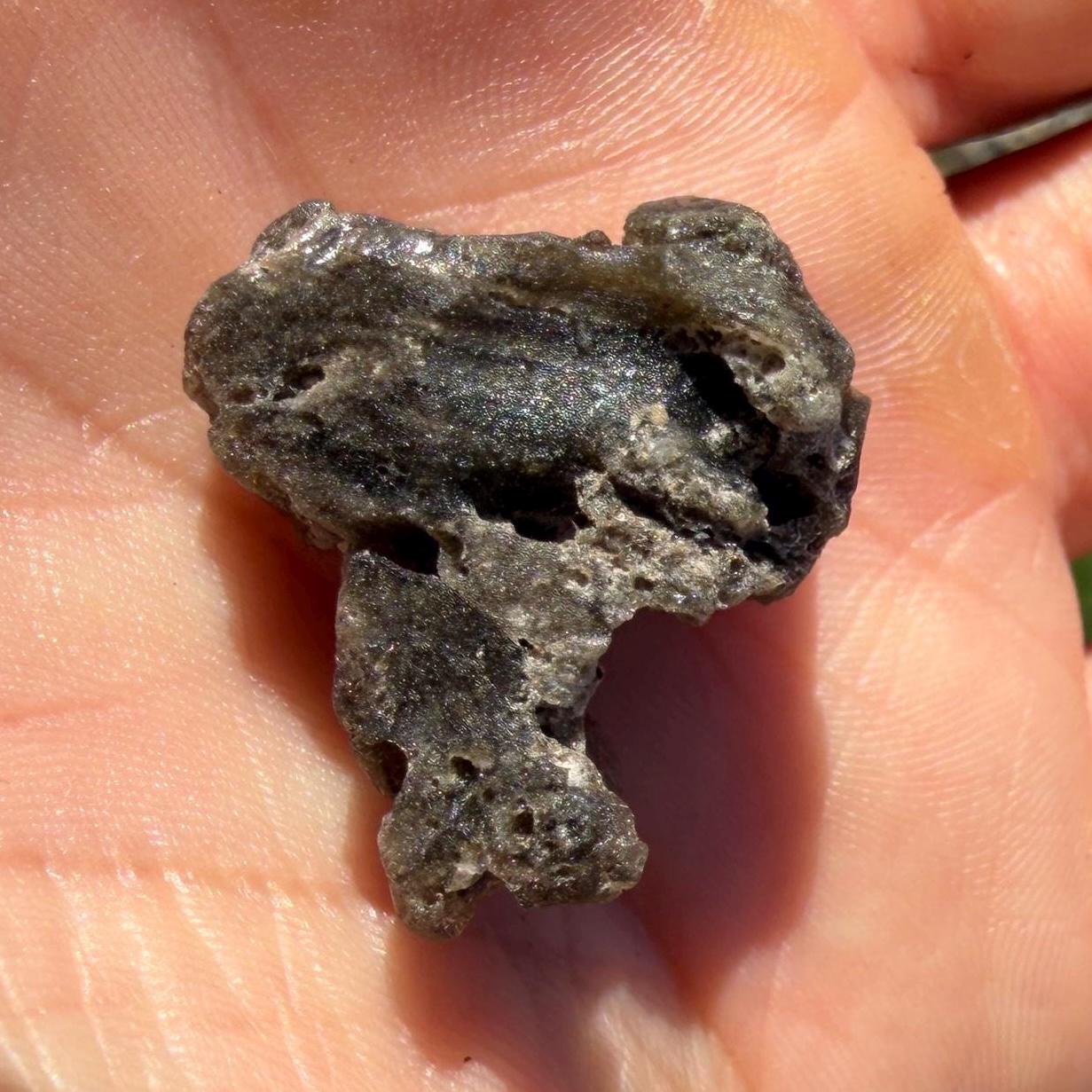 Darwin Glass Tektite: Tasmanian Impactite Talisman, 5.55 grams