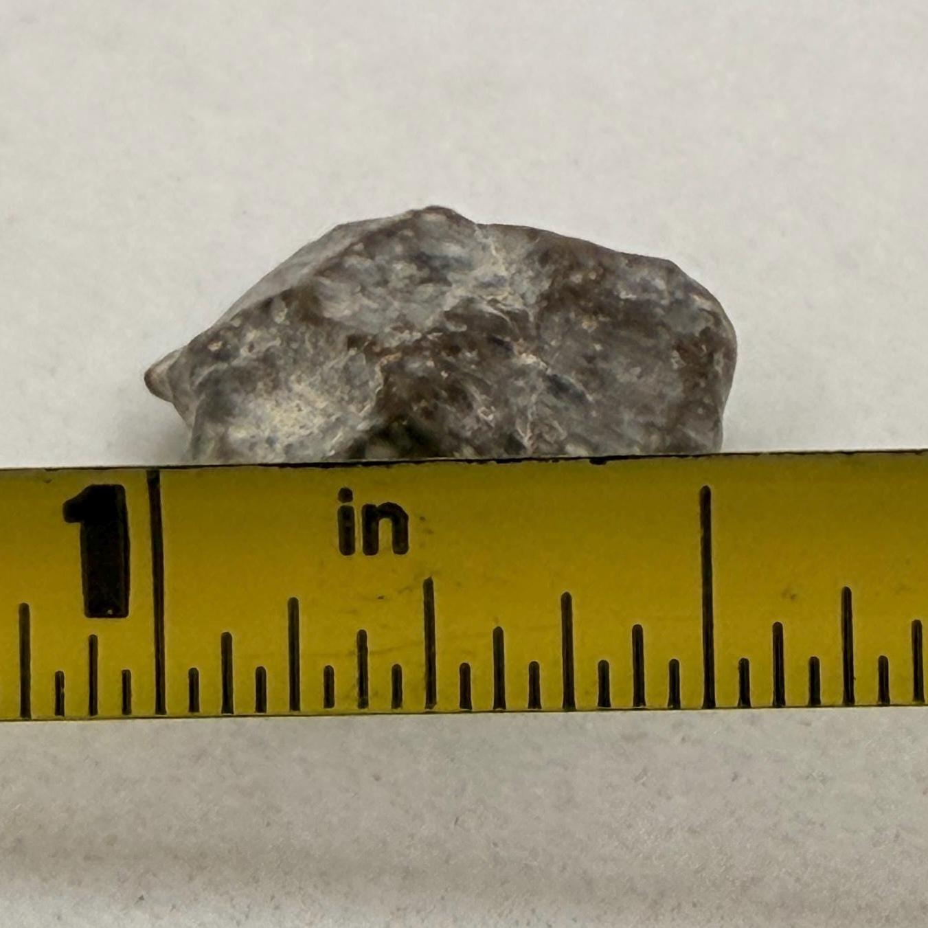 NWA 13974 Lunar Meteorite - Feldspathic Breccia, 1.18 grams