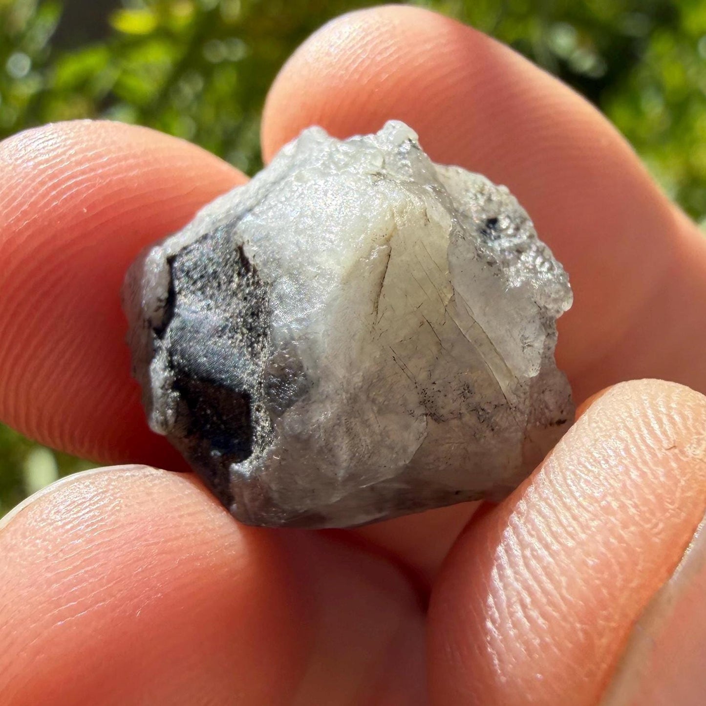 Brazilian Phenacite Crystal: High Vibration Crystal, Reiki Energy, 5.67g/28.35ct