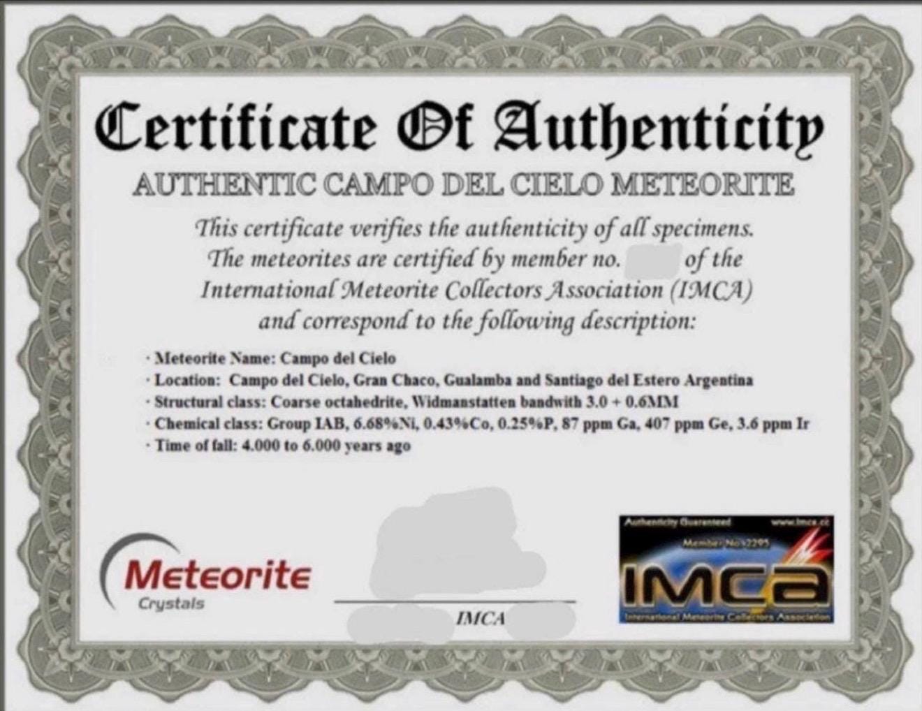 Campo del Cielo Meteorite Pendant: Authentic Astronomy Gift, Space Pendant, 12.87 Grams