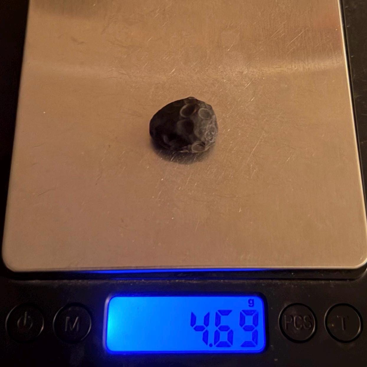 Saffordite Stone: Rare Cintamani, Arizona Tektite - 4.69 Grams