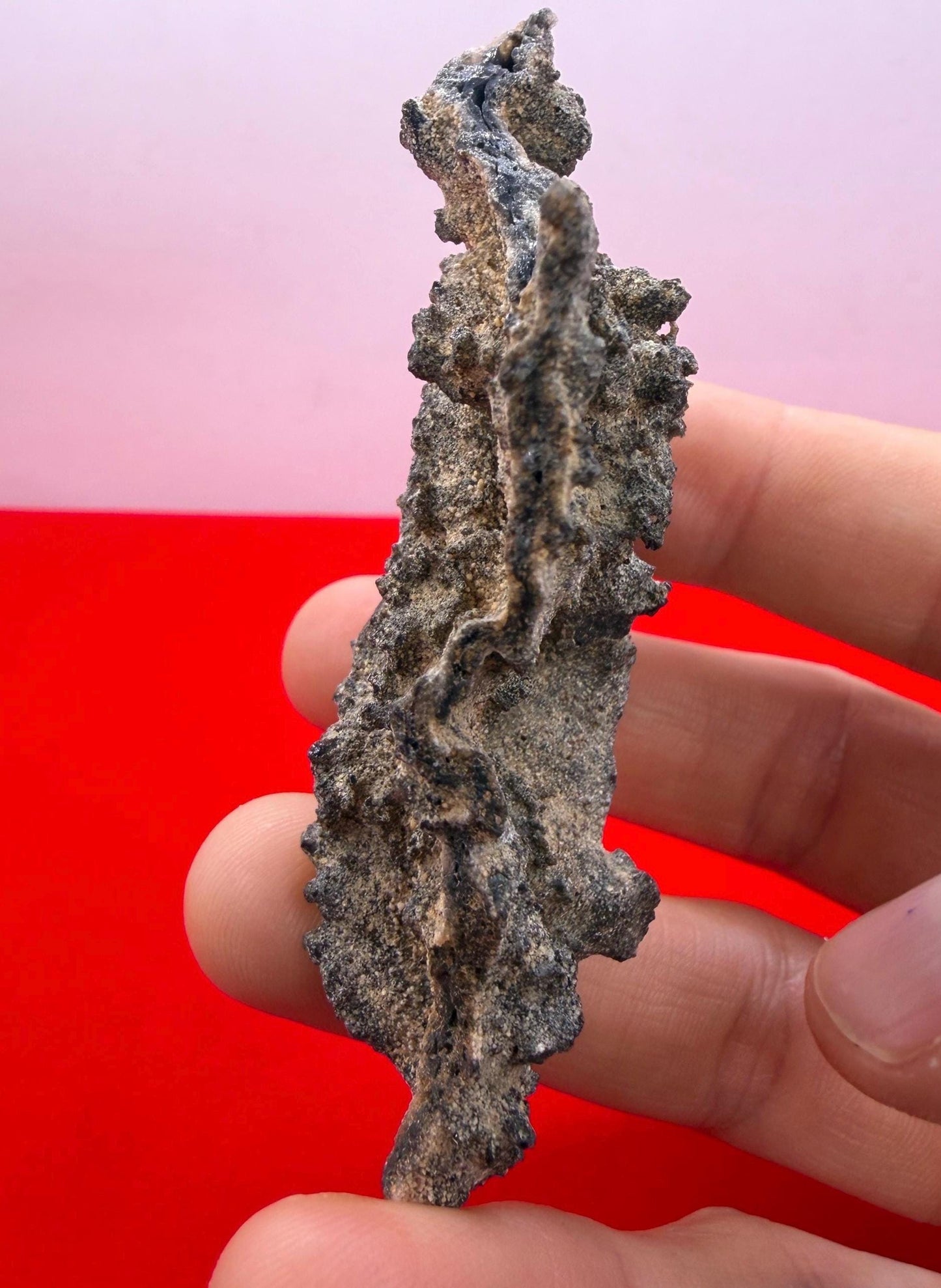 Sahara Desert Fulgurite: Fossilized Lightning Rock, Energy Work, 17.90 grams