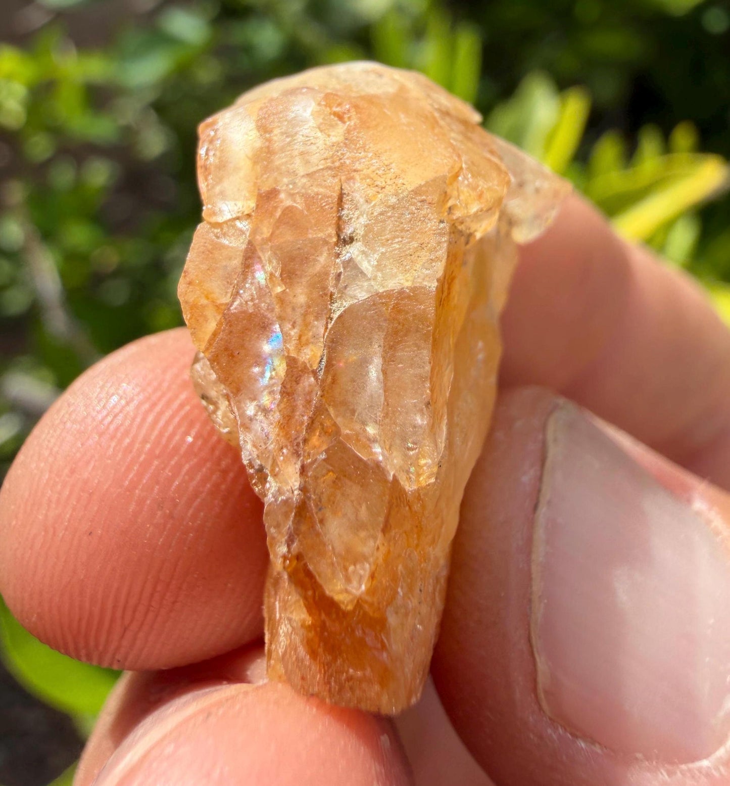 Golden Brazilian Phenacite Crystal: High-Vibration Gemstone, 7.89g/39.45ct