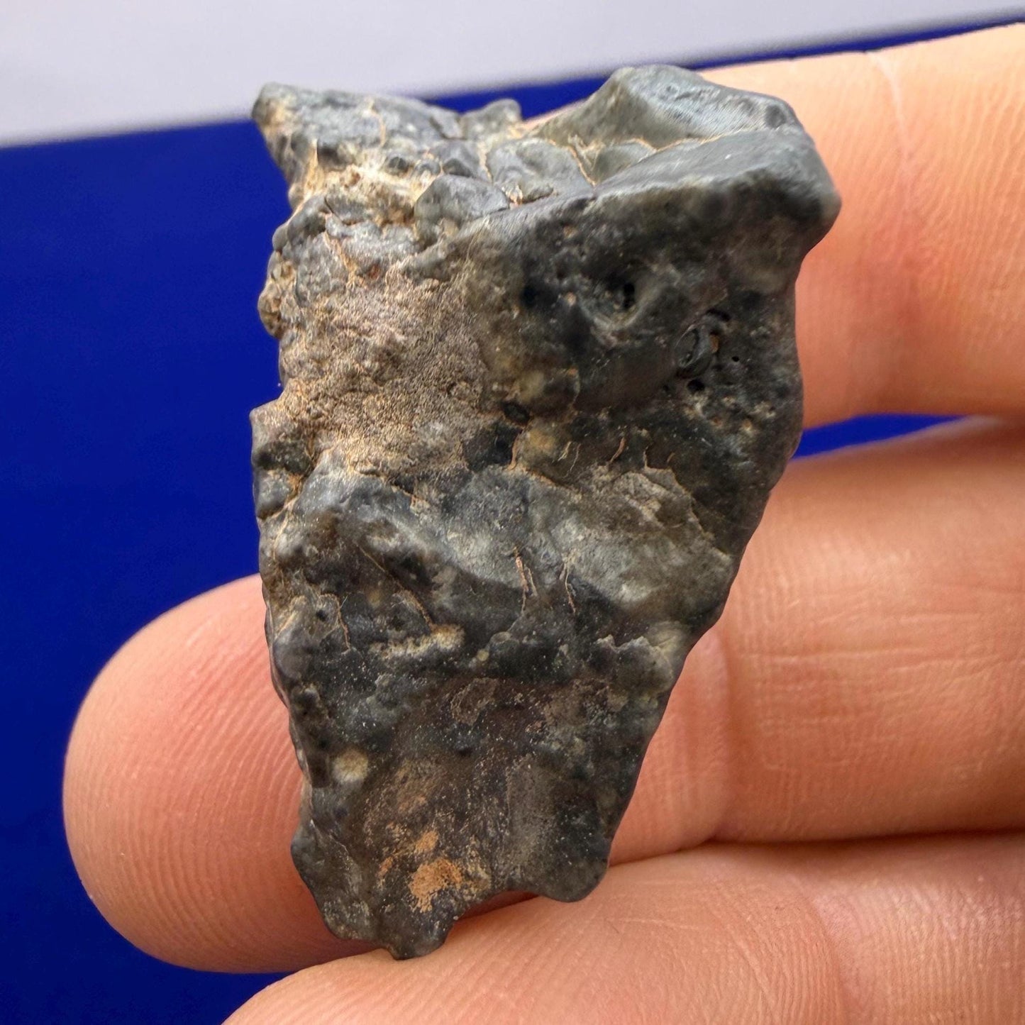 Tisserlitine 003 Lunar Meteorite: Feldspathic Breccia Moon Rock, 10.96 grams