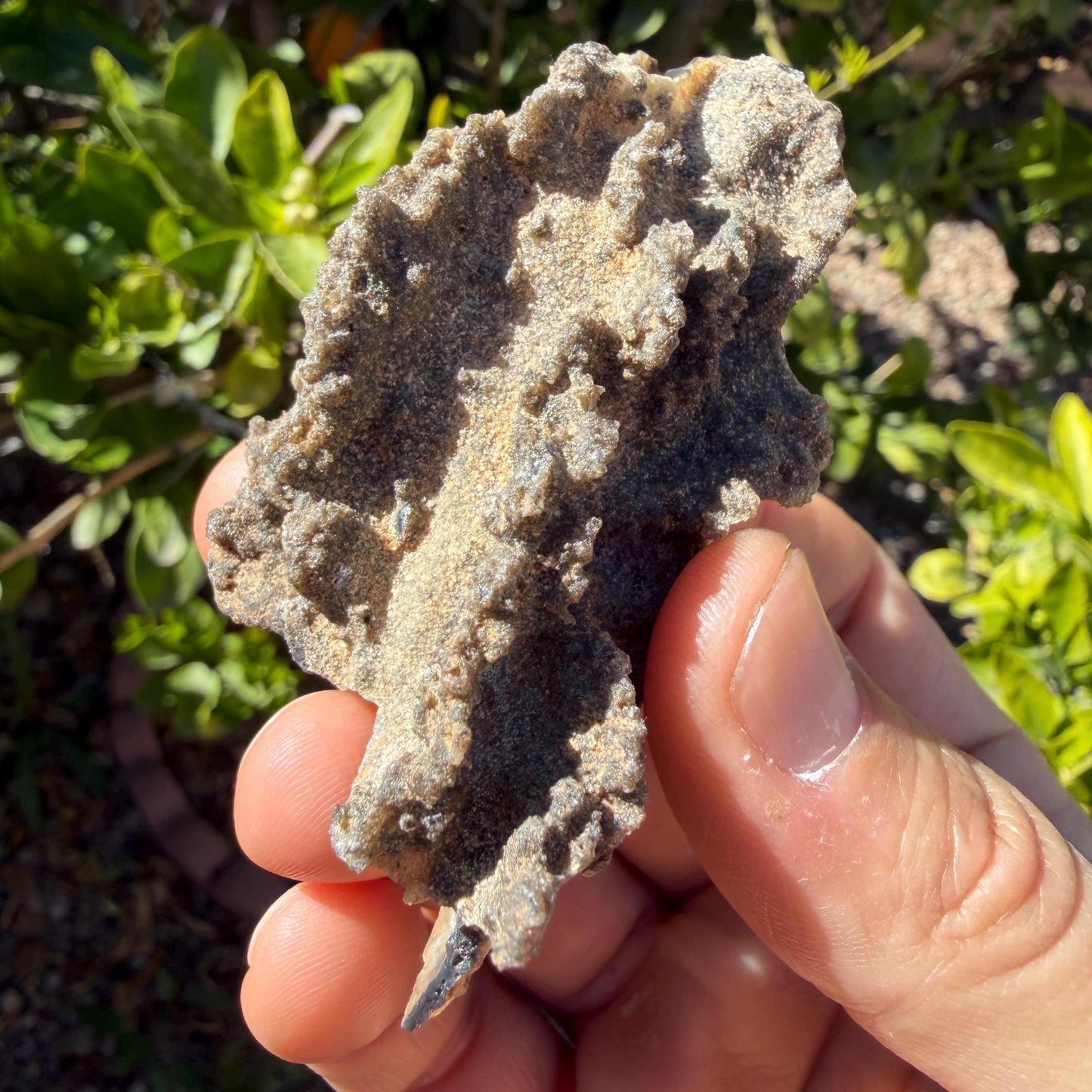 Sahara Desert Fulgurite: Lightning Glass, Fossilized Lightning, Energy Work, 13.12 grams