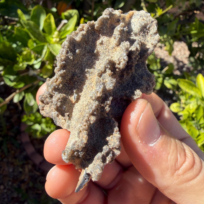 Sahara Desert Fulgurite: Lightning Glass, Fossilized Lightning, Energy Work, 13.12 grams