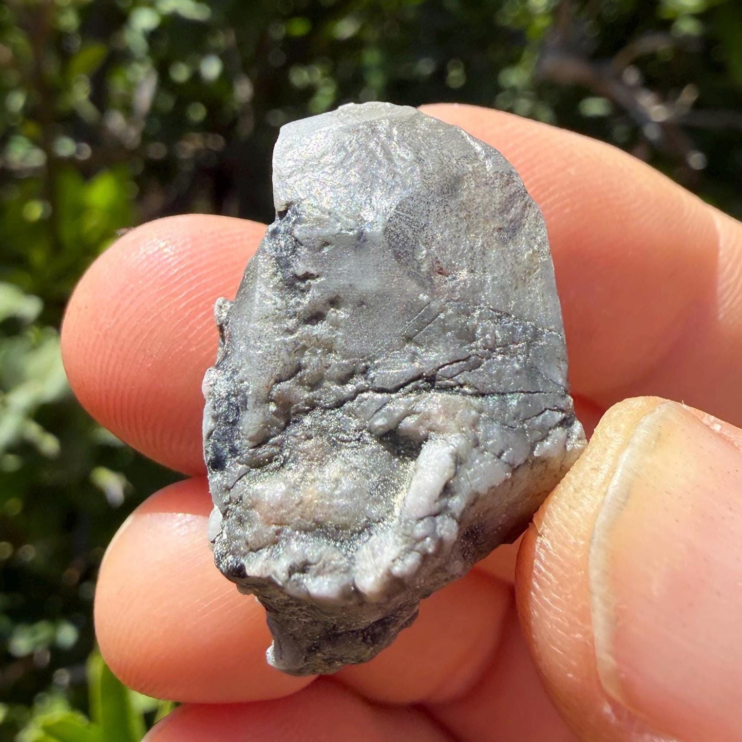 Brazilian Phenacite Crystal: High Vibration Meditation Crystal, 15.60g/78ct
