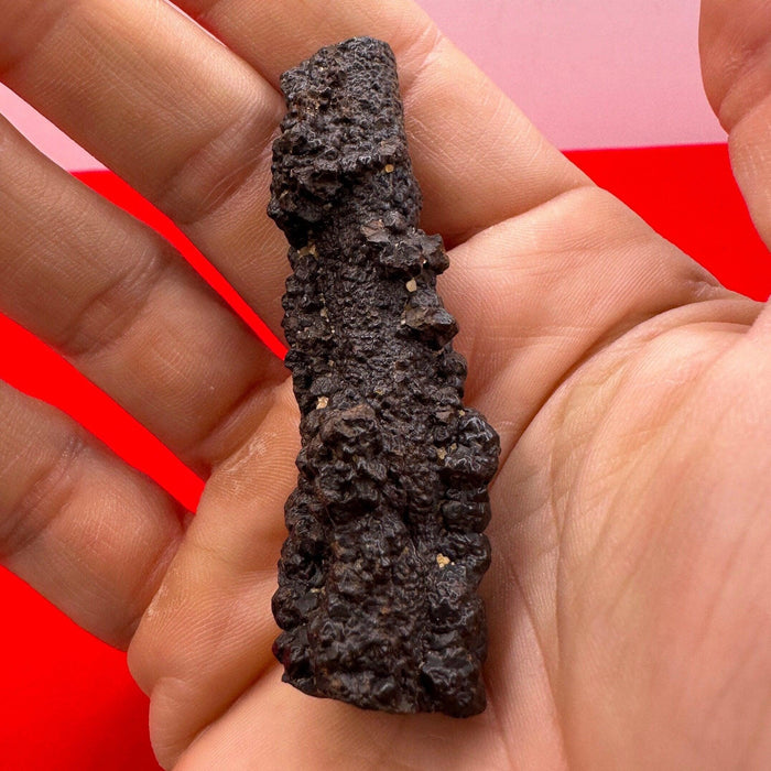 Elongated Prophecy Stone from Egypt: Authentic Z Stone, 37.16 grams