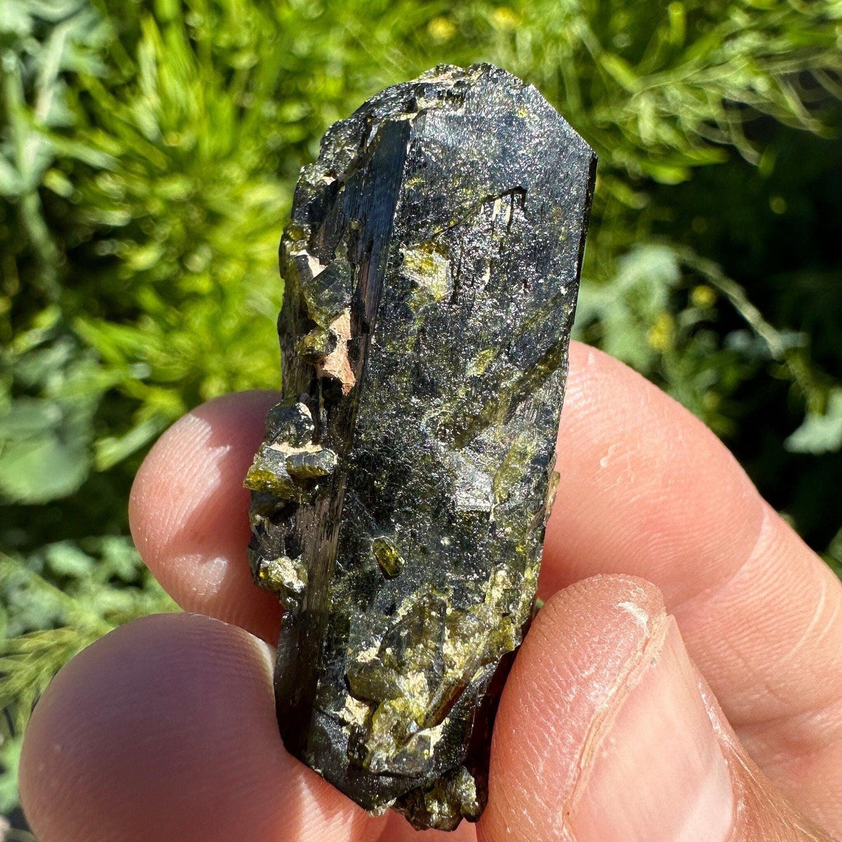 Peruvian Epidote Crystal Specimen: Reiki Healing Stone, 19.75 Grams