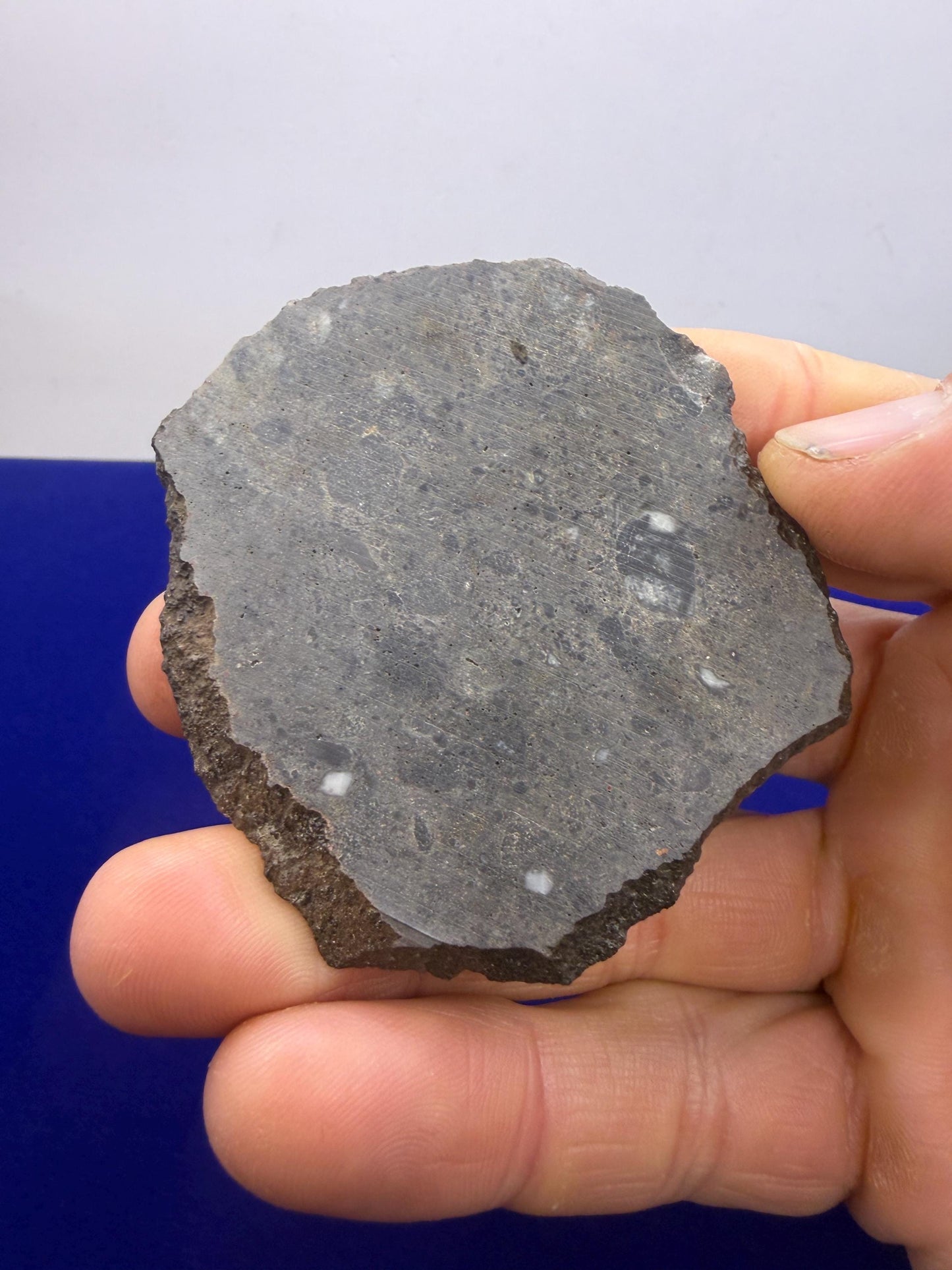 Ash Shaqqah 002 Lunar Meteorite | Moon Rock 20.19 Troctolite