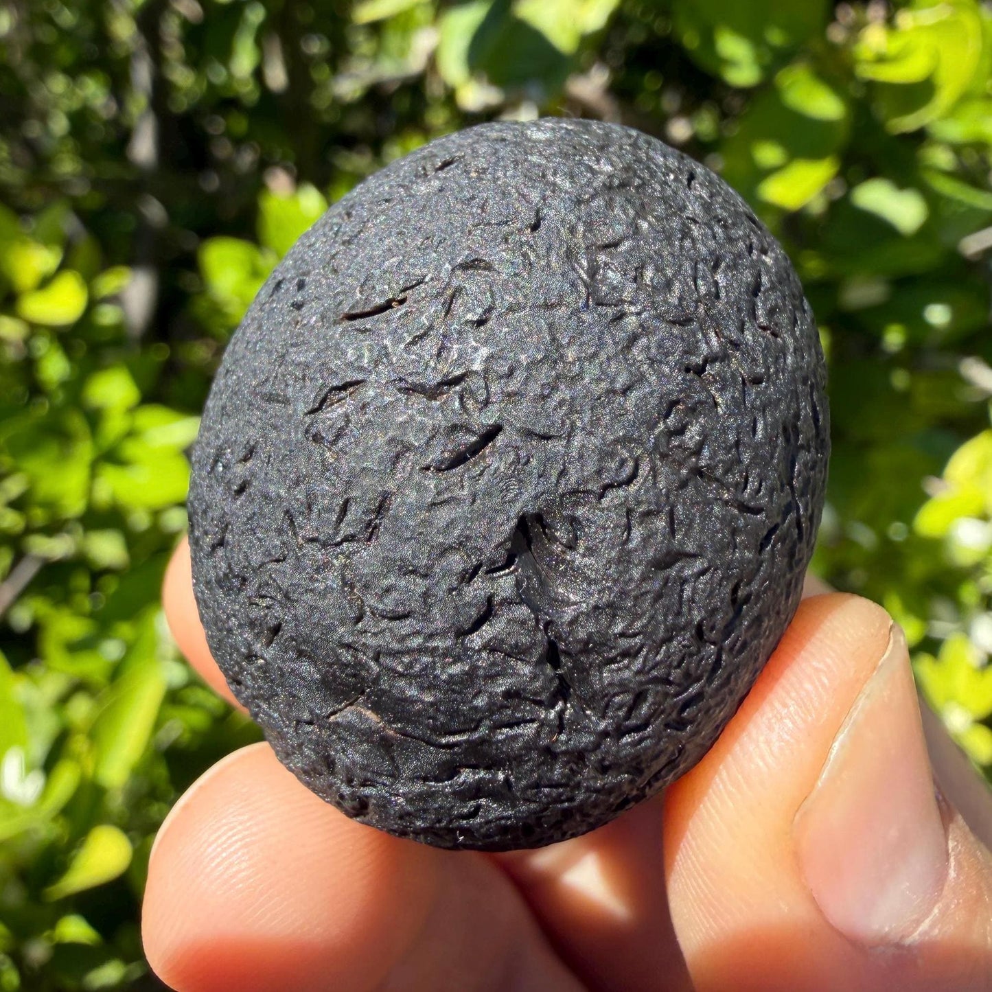 Saffordite Stone, Rare Latge Cintamani, Arizona, Pseudo Tektite, 54.77 Grams