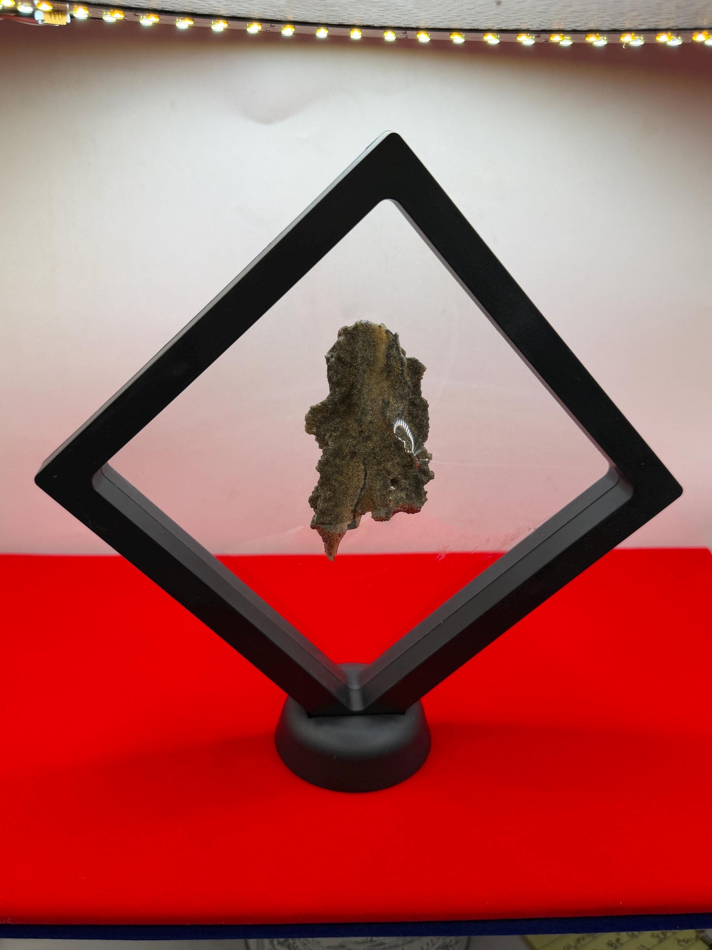 Sahara Desert Fulgurite: Lightning Glass, Fossilized Lightning, Energy Work, 13.12 grams
