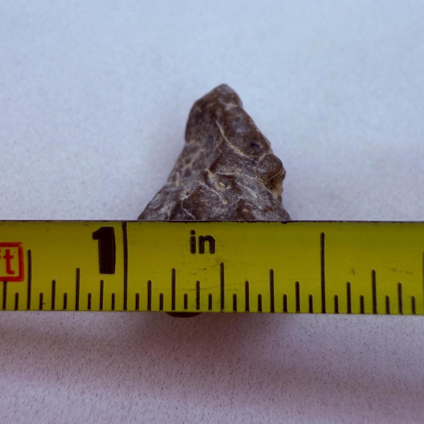 NWA 13974 Lunar Meteorite - Feldspathic Breccia, 2.50 grams