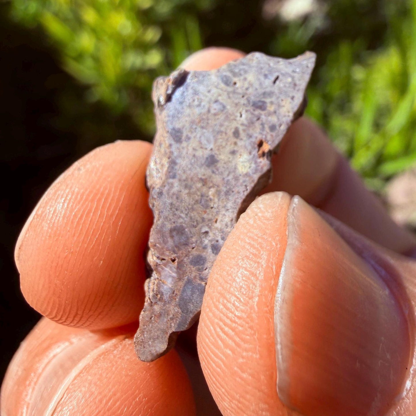 Oued el Hamim 001 Lunar Meteorite Slice, Authentic Moon Rock, Rare Aqueously Altered Lunar, 1.14g