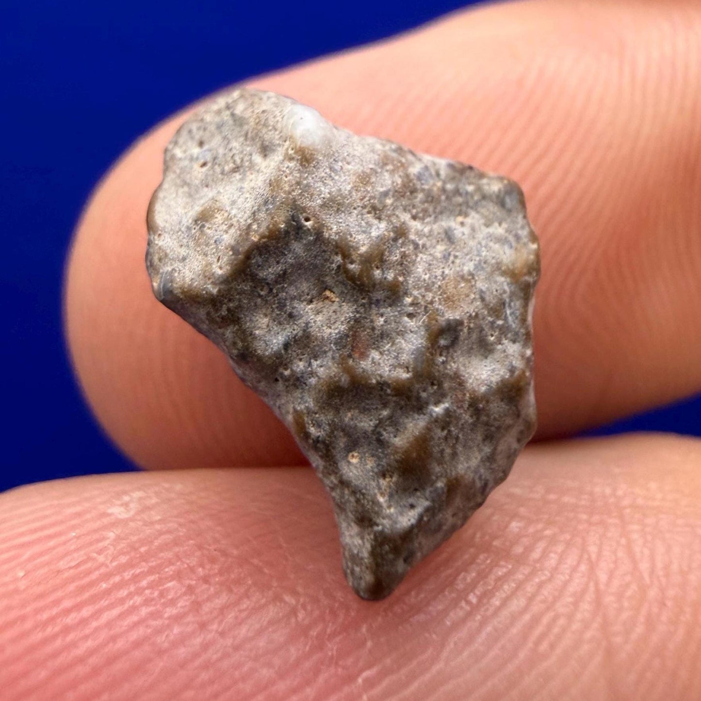 NWA 13974 Lunar Meteorite - Feldspathic Breccia, 1.04 grams