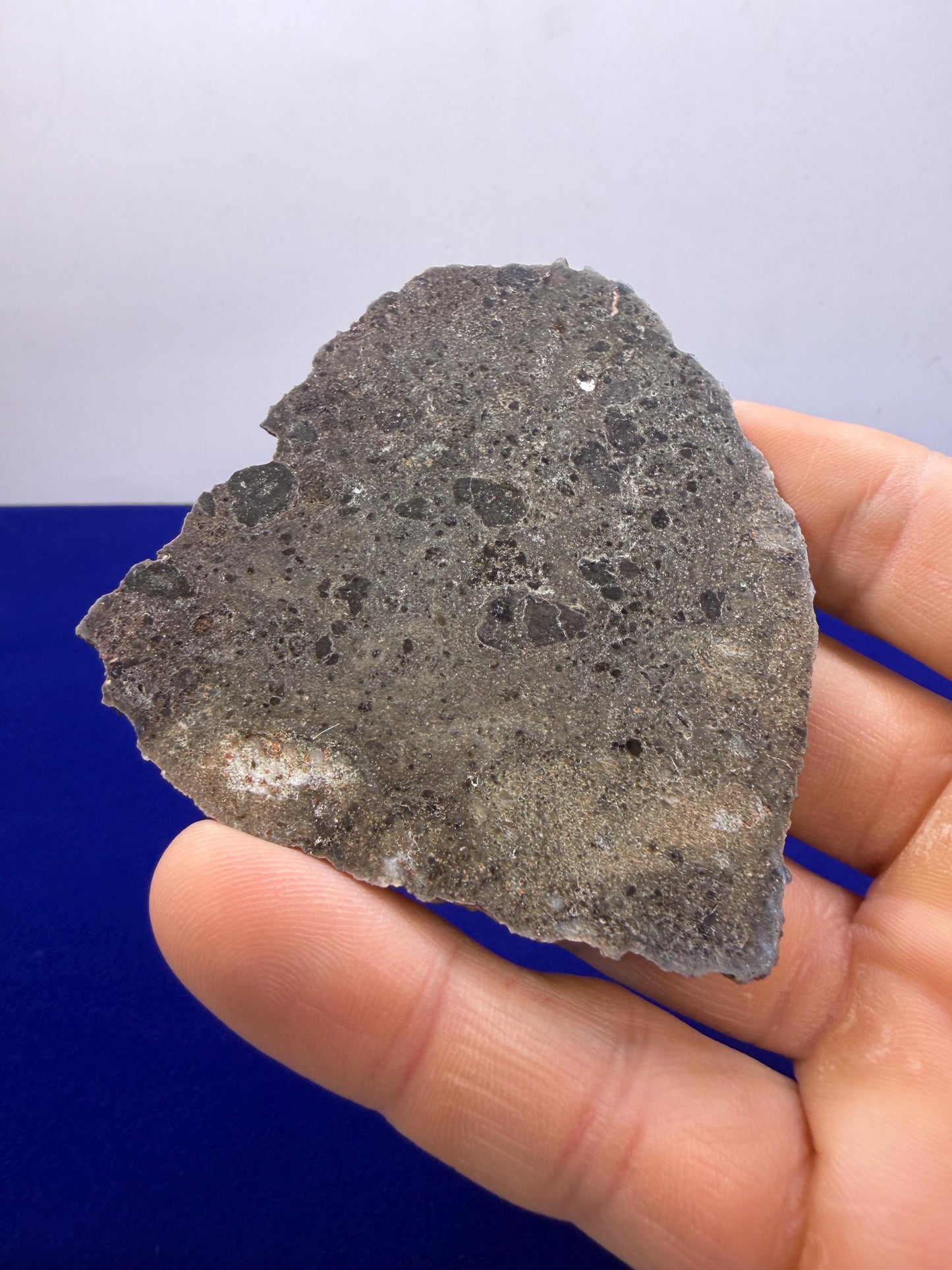 Ash Shaqqah 002 Lunar Meteorite | Moon Rock 27.16 Troctolite