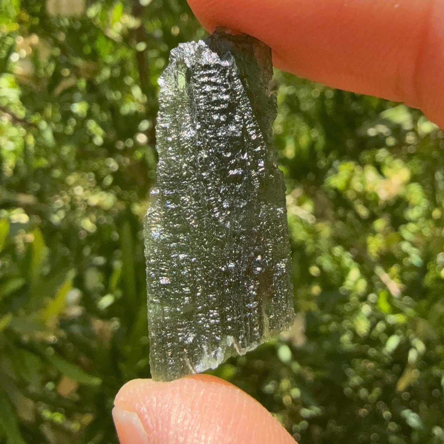 Moldavite Tektite Specimen, Natural Hole, Czech Republic (3.82 grams)
