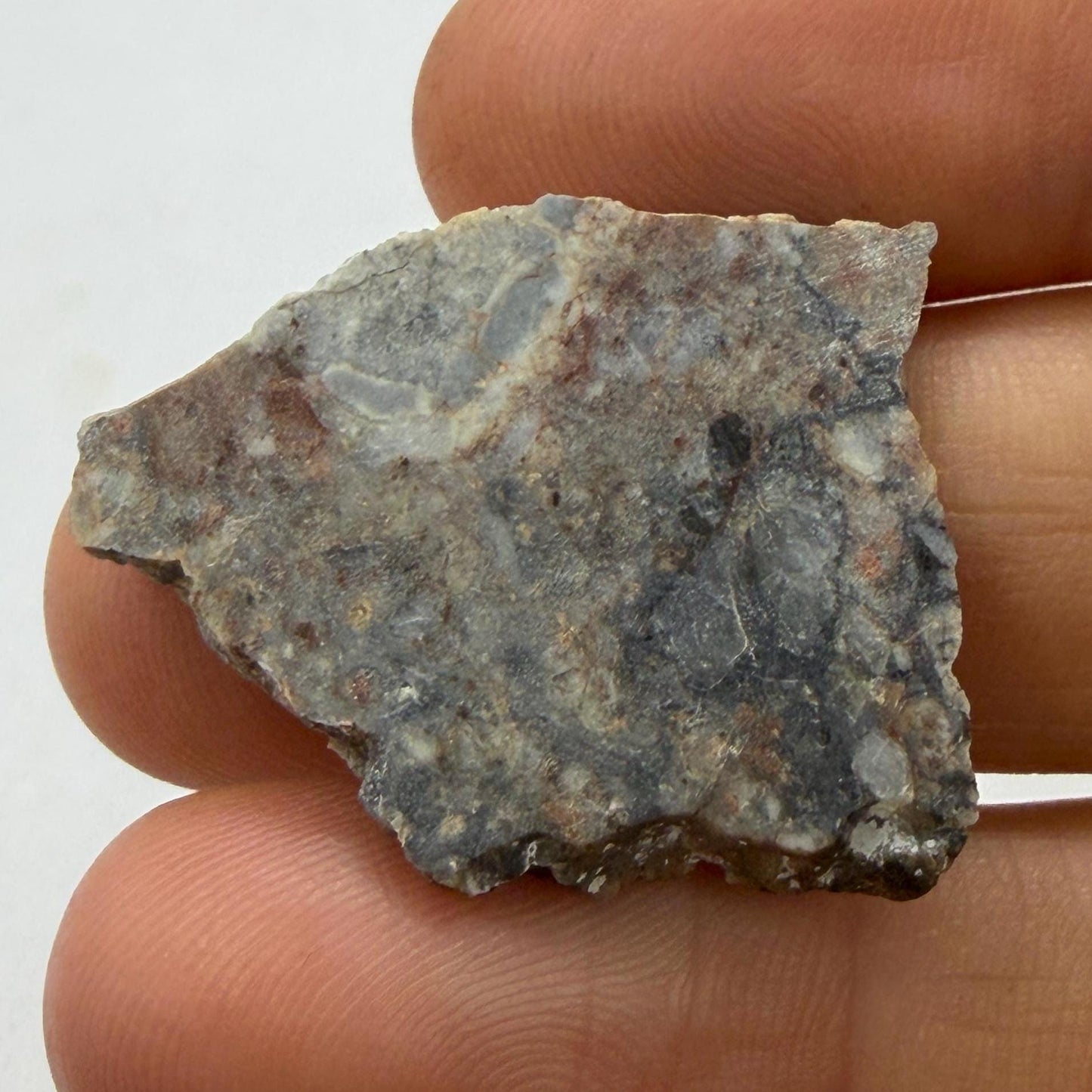 NWA 18045 Lunar Meteorite Slice, Melt Breccia Moon Rock, 3.93g