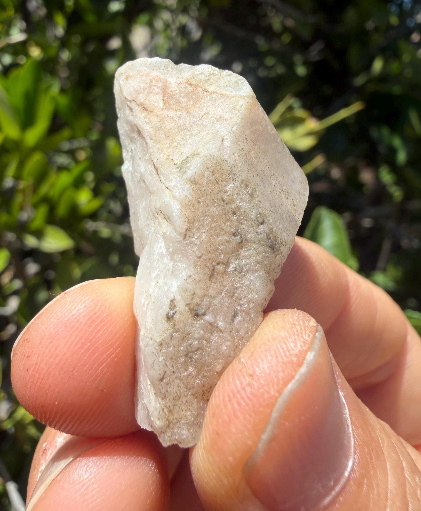 Brazilian Phenacite Crystal: High Vibration Meditation Crystal, 10.21g/51.05ct