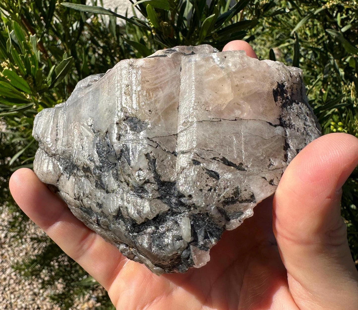 Large Brazilian Phenacite Crystal, Metaphysical Specimen (1 lbs 7.4 oz)