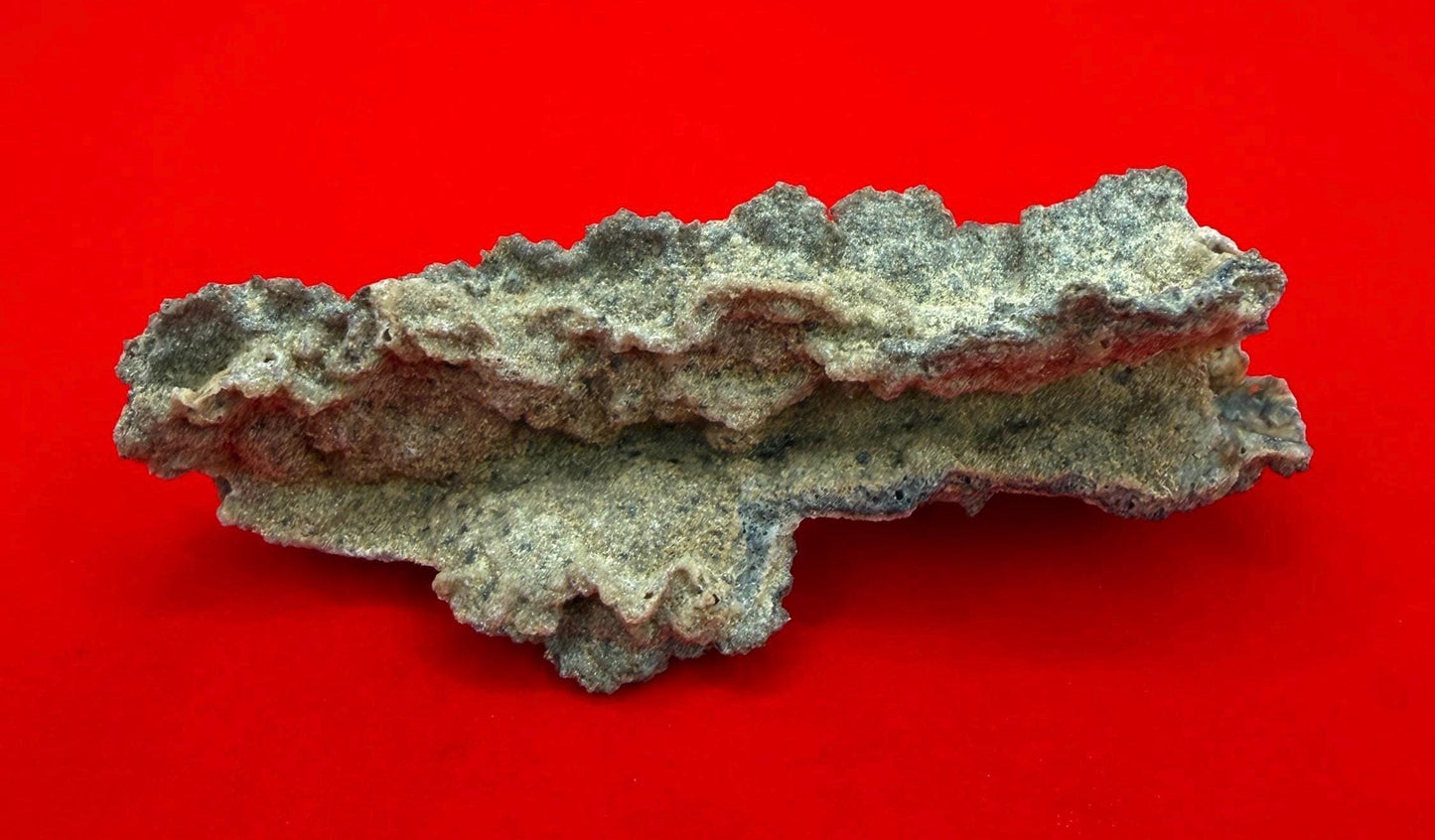 Sahara Desert Fulgurite: Lightning Glass, Fossilized Lightning, Energy Work, 14.55 grams