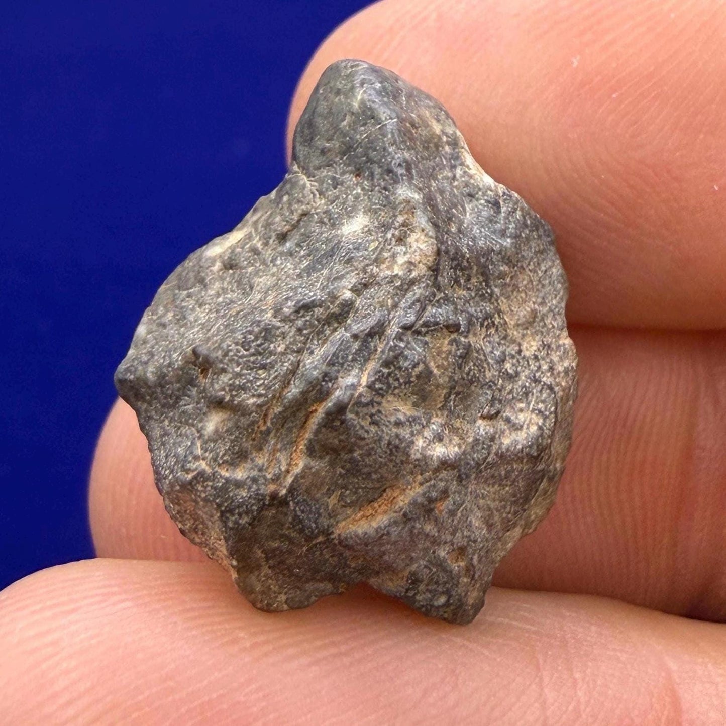 Tisserlitine 003 Lunar Meteorite: Feldspathic Breccia Moon Rock, 4.43 grams