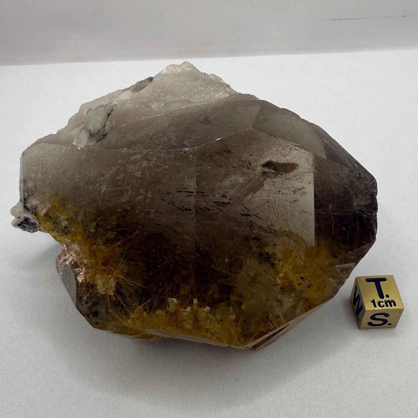 Rare Golden Rutilated Quartz Crystal: Brazilian Fine Crystal, 348g