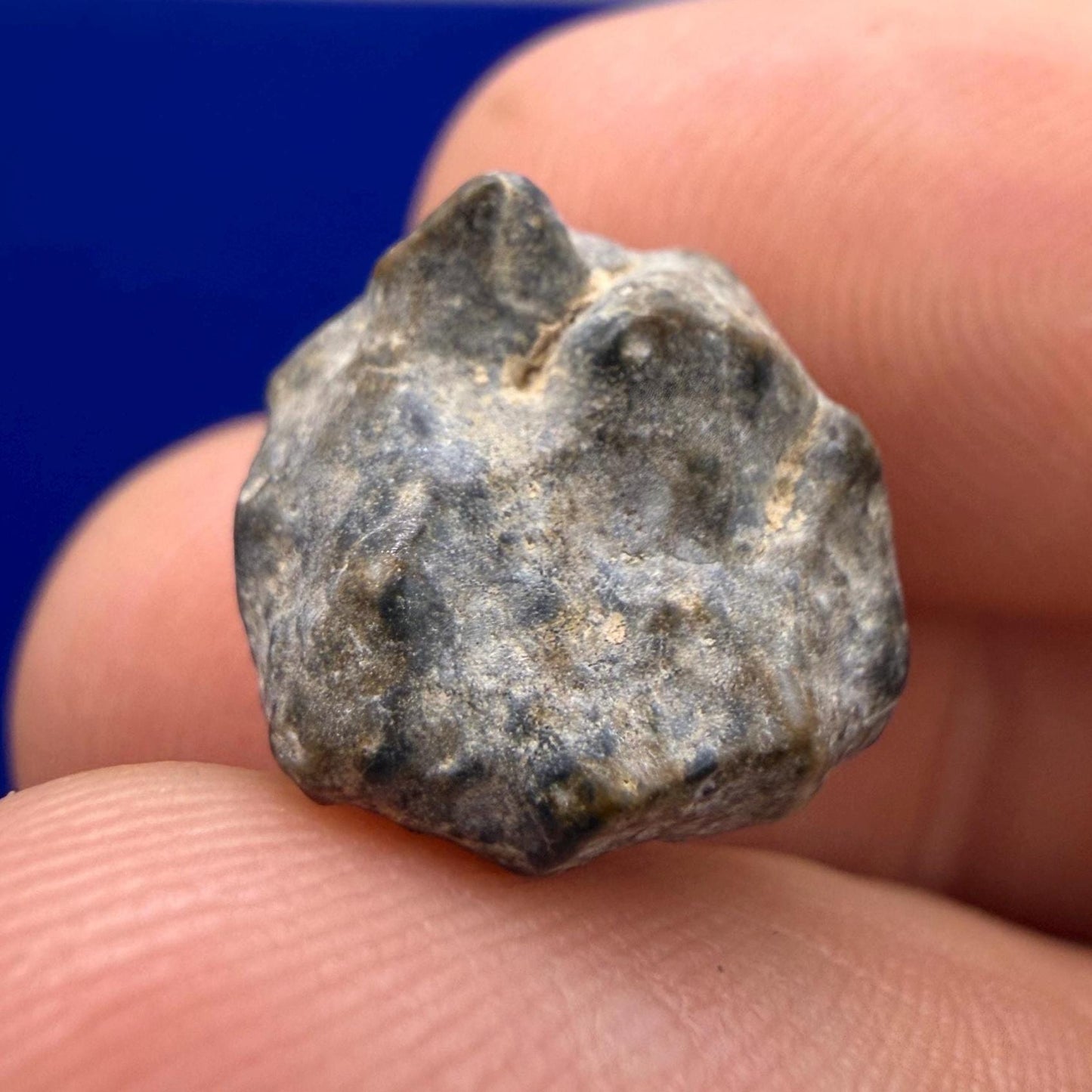 NWA 13974 Lunar Meteorite - Feldspathic Breccia, 2.45 grams