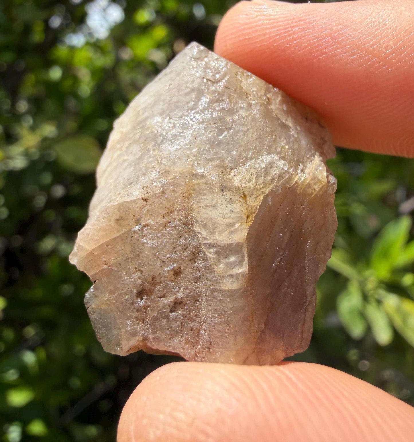 Brazilian Phenacite Crystal: Authentic, Metaphysical Crystal, 12.07g/60.35ct