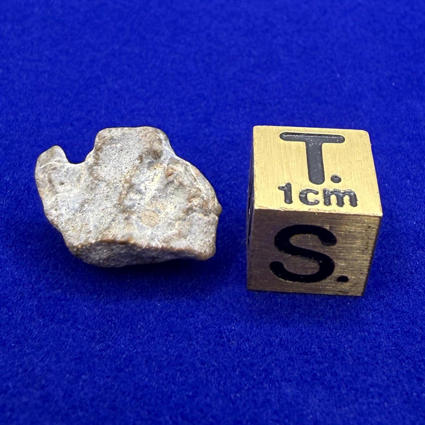 NWA 13974 Lunar Meteorite - Feldspathic Breccia, 1.56 grams