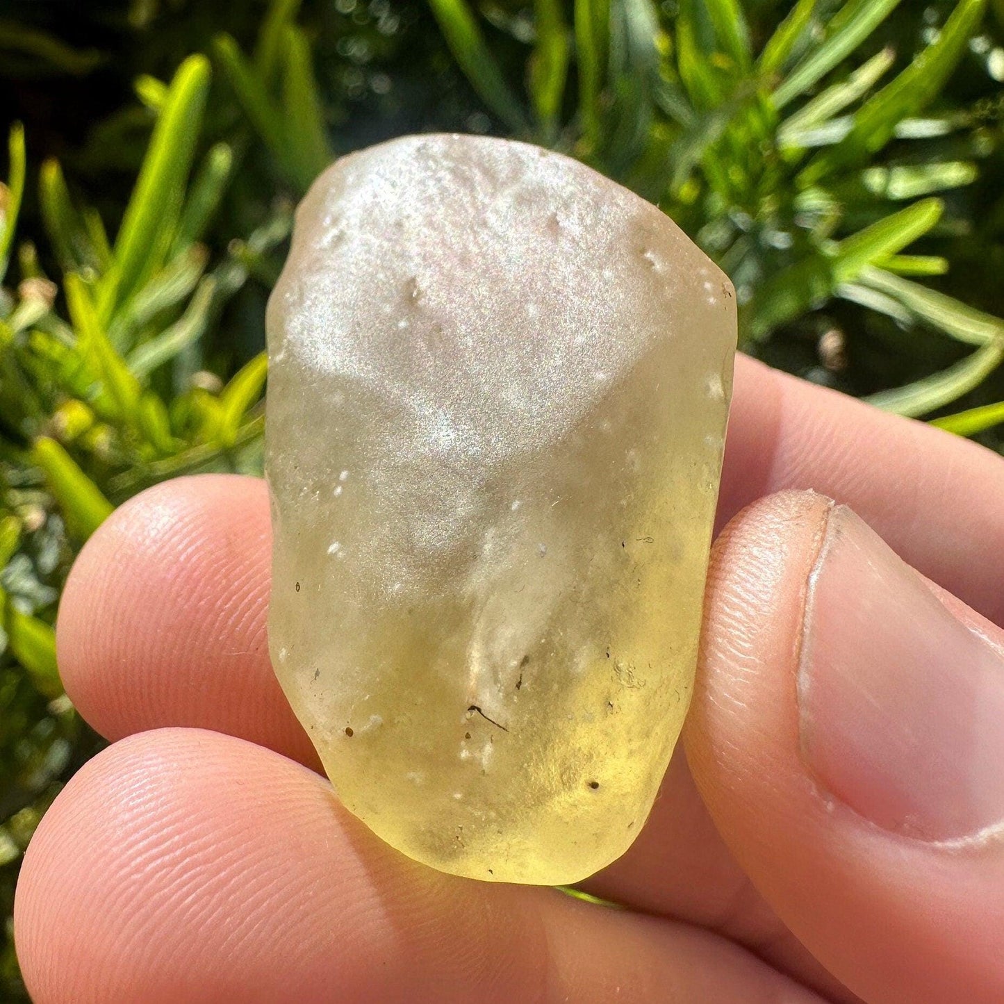 Libyan Desert Glass: Golden Tektite, Manifestation Talisman, 19.42 grams