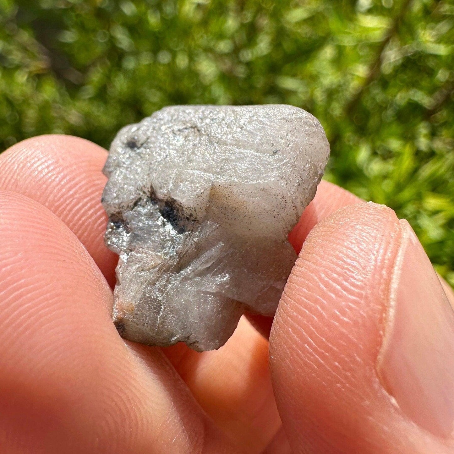 Brazilian Phenacite Crystal: Authentic Phenacite, 4.65g/23.34ct