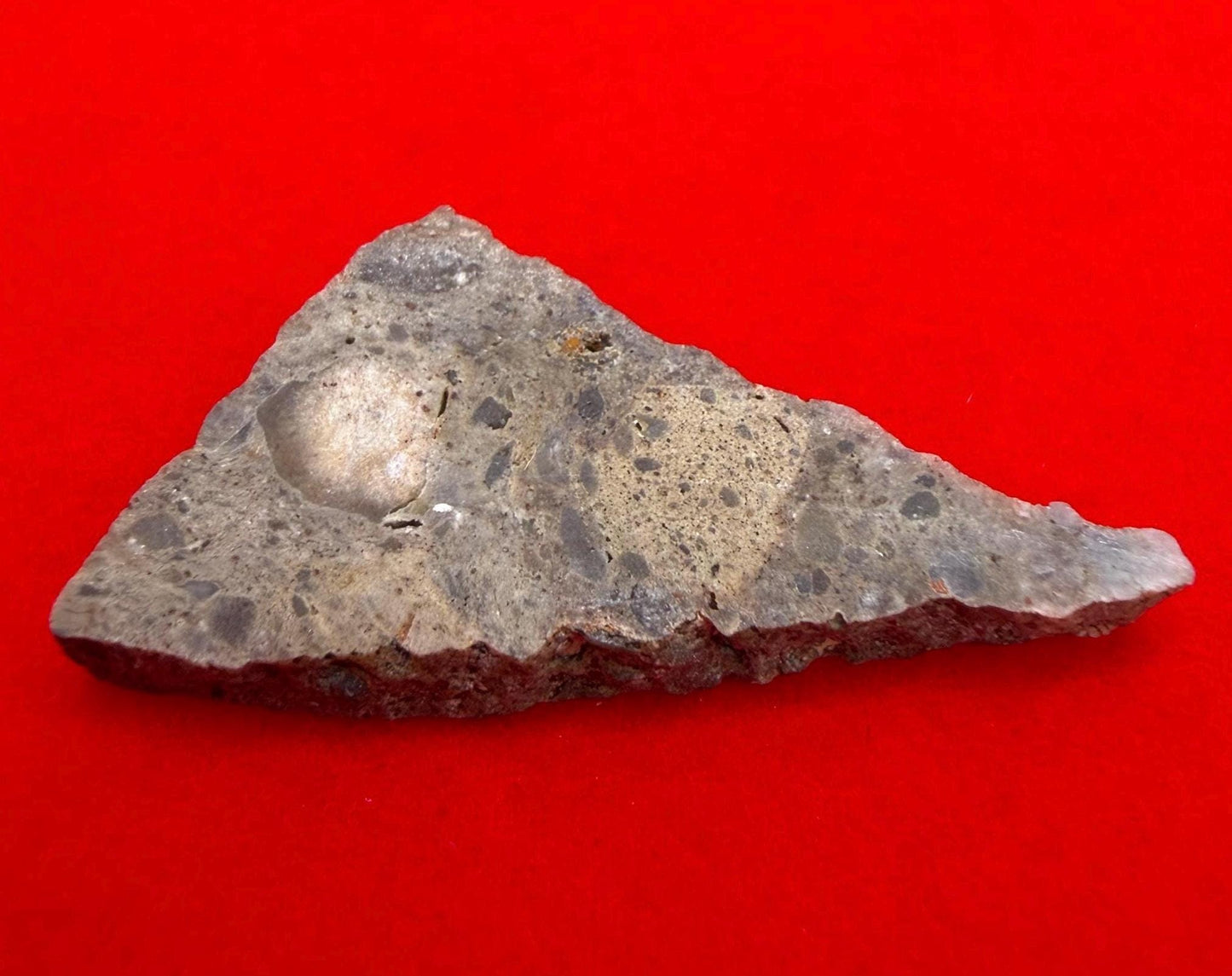 Oued el Hamim 001 Lunar Meteorite Slice, Aqueously Altered Moon Rock (1.48g)