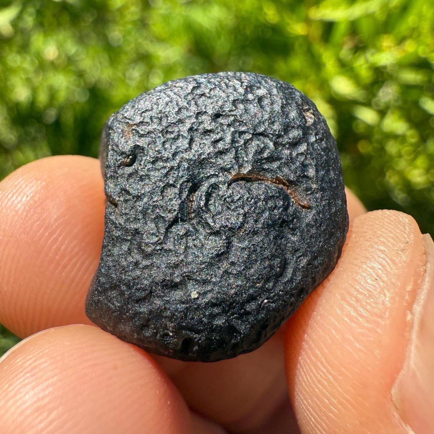 Saffordite Cintamani Stone Specimen: Rare Arizona Pseudo-Tektite, 6.09 grams